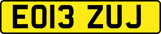 EO13ZUJ