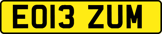 EO13ZUM