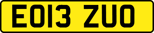 EO13ZUO