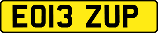 EO13ZUP