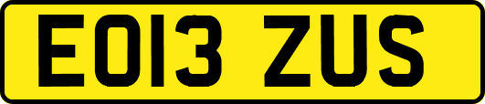 EO13ZUS