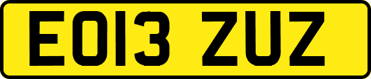 EO13ZUZ