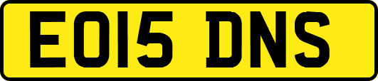 EO15DNS