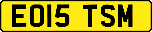 EO15TSM