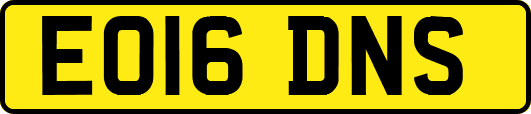 EO16DNS