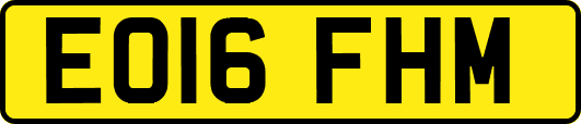 EO16FHM