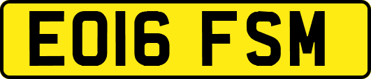 EO16FSM