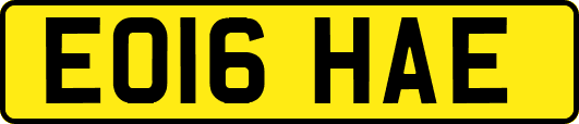 EO16HAE