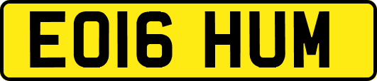 EO16HUM