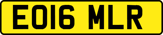 EO16MLR
