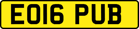 EO16PUB