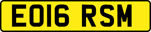 EO16RSM