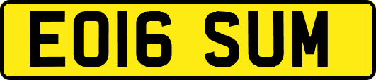 EO16SUM