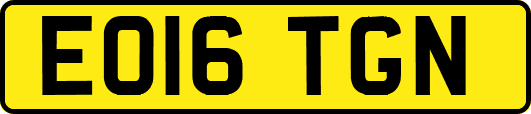 EO16TGN