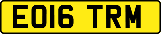 EO16TRM