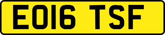 EO16TSF