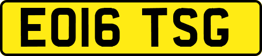 EO16TSG