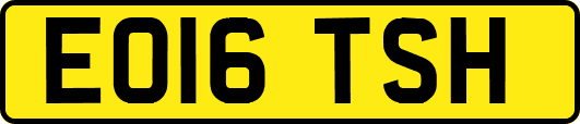 EO16TSH
