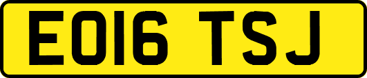 EO16TSJ