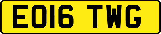 EO16TWG