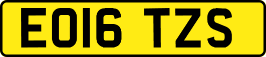 EO16TZS
