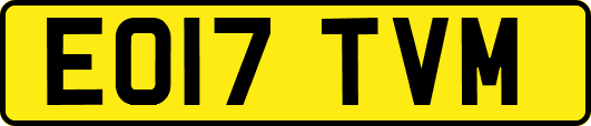 EO17TVM