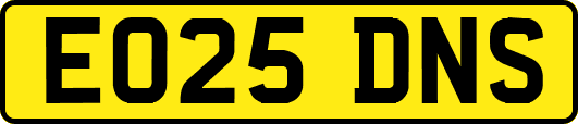 EO25DNS