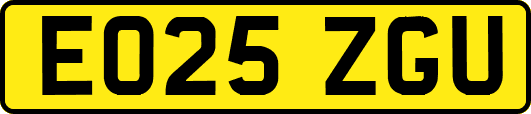 EO25ZGU