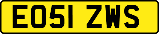 EO51ZWS