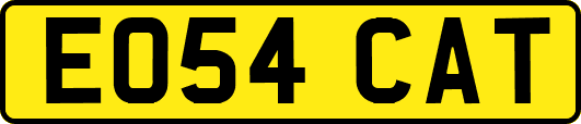 EO54CAT