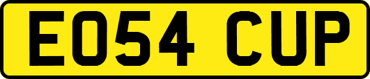 EO54CUP