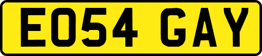 EO54GAY