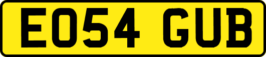 EO54GUB