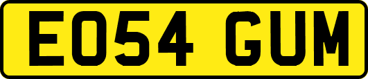 EO54GUM