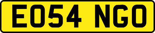 EO54NGO