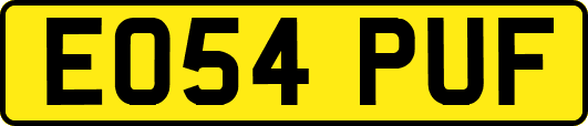 EO54PUF