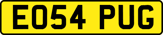 EO54PUG