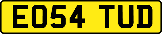 EO54TUD