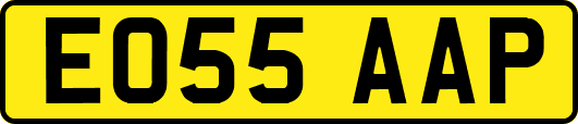 EO55AAP