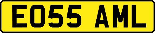 EO55AML