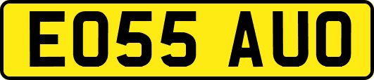 EO55AUO
