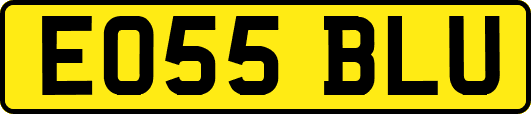 EO55BLU