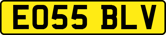 EO55BLV