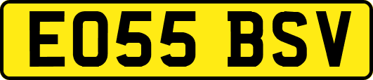 EO55BSV