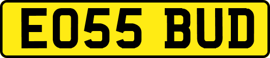 EO55BUD