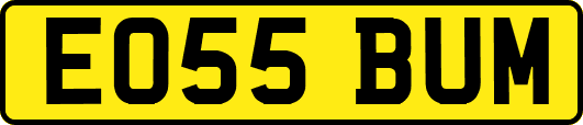 EO55BUM