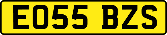 EO55BZS
