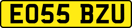 EO55BZU