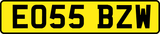 EO55BZW