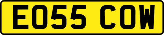 EO55COW